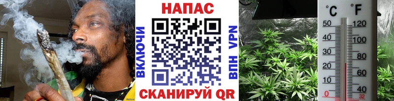 kraken вход  Россошь  Бошки Шишки планчик 